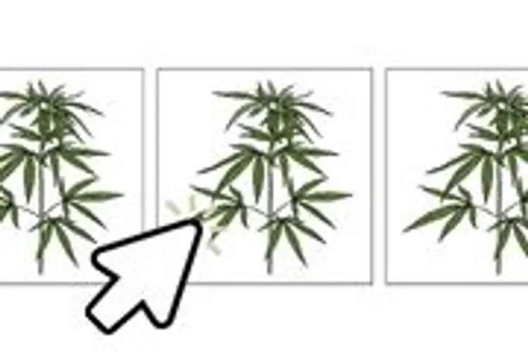 Clone 1
