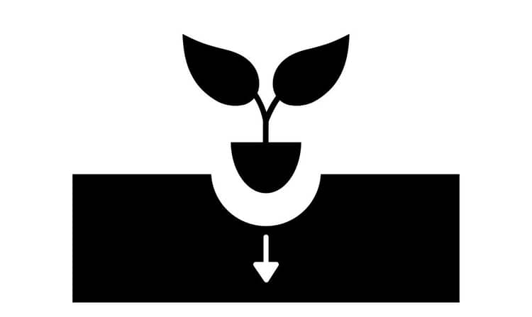 Clone Info 6