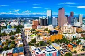 Colorado Cannabis Clones And Seeds Number One Online Store