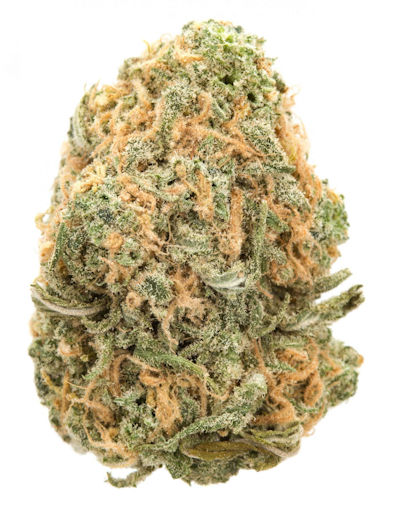 Blue Dream Cannabis Bud