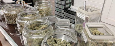 Visit local dispensaries and interact with the staff to know about open positions.