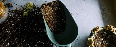 Dark and rich potting soil with perlite.