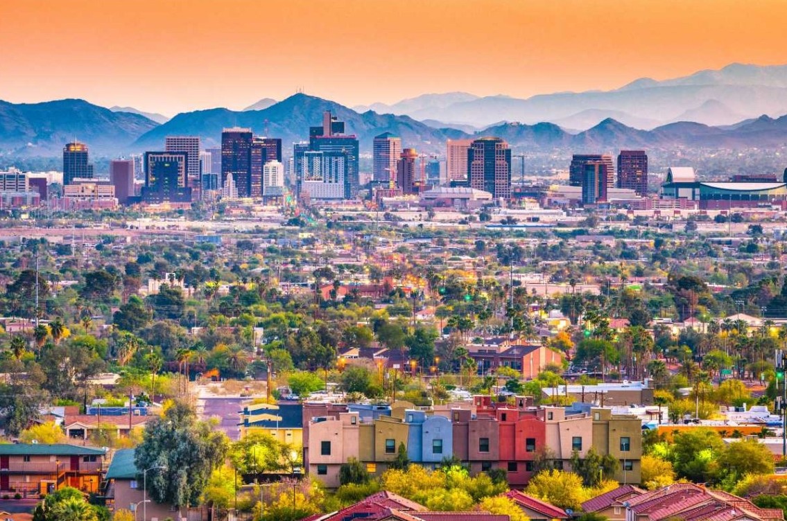 Cannabis Clones for Sale in Arizona