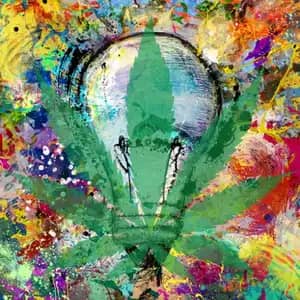 Best Cannabis Strains for Unlocking Your Creative Potential