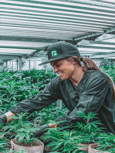 The top cannabis tour companies in San Francisco