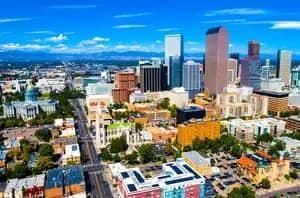 Colorado Cannabis Clones And Seeds Number One Online Store