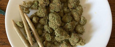What does 2021 have in store for the future of the cannabis industry?