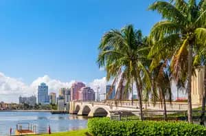 Florida Cannabis Clones And Seeds Number One Online Store