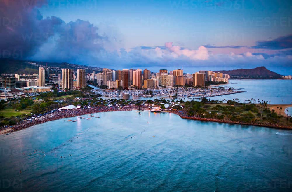Hawaii Cannabis Clones And Seeds Number One Online Store