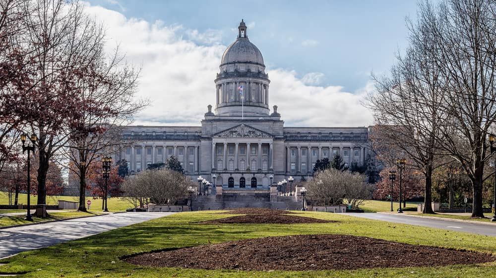 Kentucky Cannabis Clones And Seeds Number One Online Store