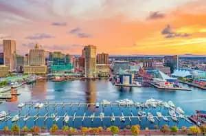 Maryland Cannabis Clones And Seeds Number One Online Store