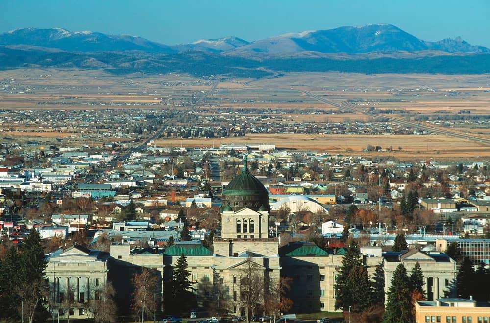 Montana Cannabis Clones And Seeds Number One Online Store
