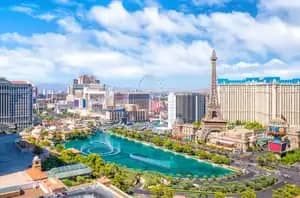 Nevada Cannabis Clones And Seeds Number One Online Store