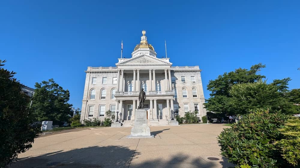 New Hampshire Cannabis Clones And Seeds Number One Online Store