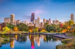 New York Cannabis Clones And Seeds Number One Online Store
