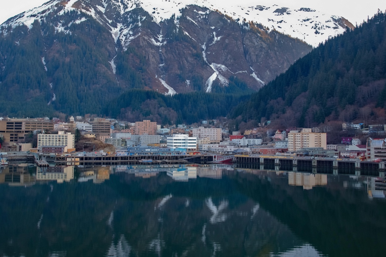 Cannabis Clones for Sale in Alaska