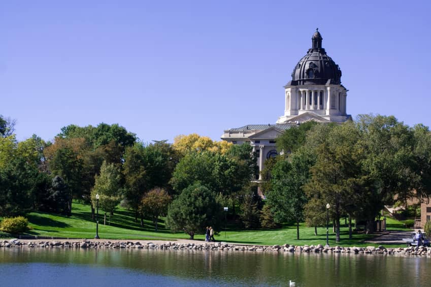 South Dakota Cannabis Clones And Seeds Number One Online Store