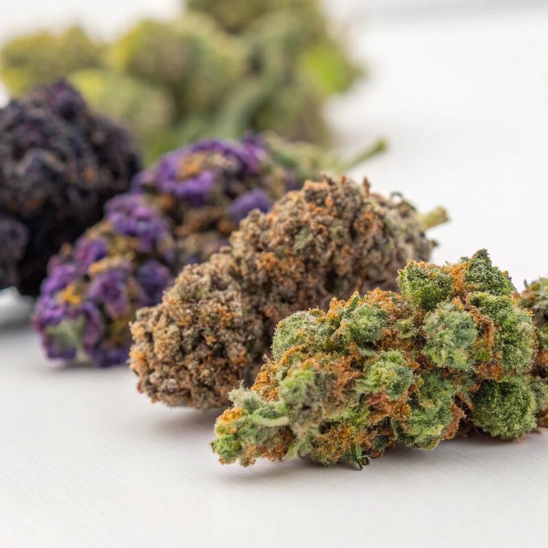 Cannabis Strain Color Variation Close-Up Close-up of purple, dark, and green cannabis buds arranged together showing natural color variation between strains